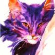 Lavender Kitty