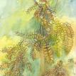 Golden Rain
